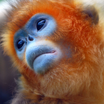 SensorTikzy's Avatar'