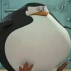 TubFullOfMemes's Avatar'