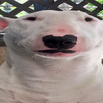 SmoothAndMoist's Avatar'