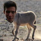 WrongBacon66412's Avatar'