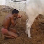 Cowp.ssdrinker's Avatar'