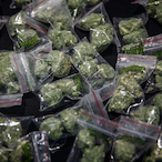 StonedLifeBest's Avatar'