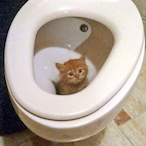 YOURWAYSCARED's Avatar'