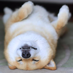 Green_Giant.'s Avatar'