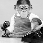 monke7426's Avatar'