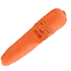 Curt_The_Carrot's Avatar'