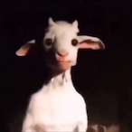 freakiest.'s Avatar'