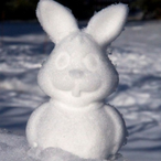 larrrybaju's Avatar'