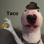 DrPhilsDog's Avatar'
