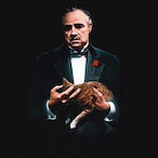 Master-Soni-Tr's Avatar'