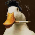 xSKRTx's Avatar'