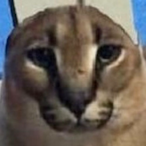 NachTank's Avatar'