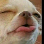 JohnPork667's Avatar'