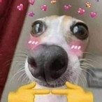 DremunCock's Avatar'