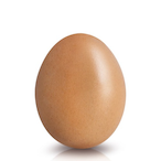 EGG.o.'s Avatar'