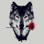 PcGooner26's Avatar'