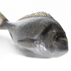 Faveeeeeee's Avatar'