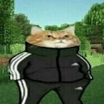 thisisadvokat's Avatar'