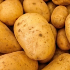 DirtyPotato.JPG's Avatar'