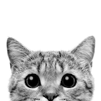DozminTea's Avatar'