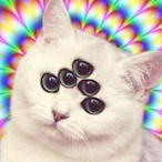 OopsAllMeows's Avatar'