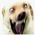 ZmxXyz07's Avatar'