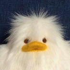 MacaBaka..'s Avatar'