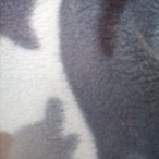 XTakenAliveX's Avatar'