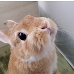 IamSuperCute's Avatar'