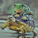 frogger_911's Avatar'