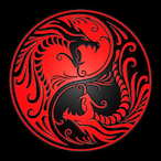 NMasterdragon's Avatar'