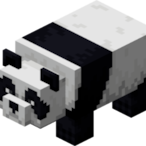 PlebbyThePanda's Avatar'