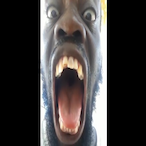 BEARDOWNelias's Avatar'