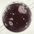 Fetexxion's Avatar'