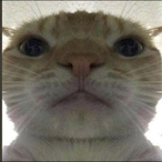 kev5545's Avatar'