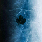 cocofifi000's Avatar'