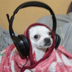 Wiciukk's Avatar'