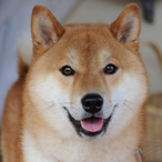 MapleBurrito's Avatar'
