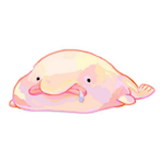 B4LLR1GHHT's Avatar'