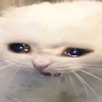 Rxhaaaaaaaa's Avatar'