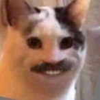 MACHUFLEX's Avatar'