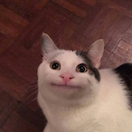 lNoirxxl's Avatar'