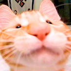 Trashville.'s Avatar'