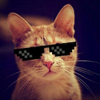 CxldEditzzz's Avatar'