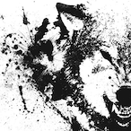 PaxterPlayZ's Avatar'