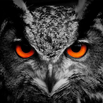 Steil3karN's Avatar'