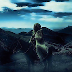 Wise_Highlander's Avatar'