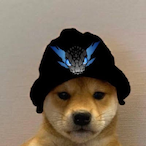 DLdiaxe's Avatar'