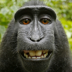 Lawsoft44's Avatar'