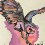 OwlThatisFrosty's Avatar